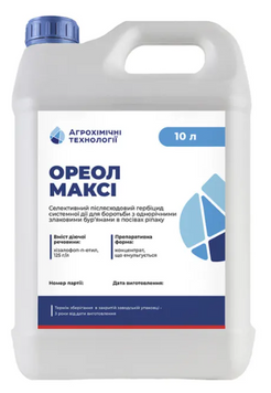 Ореол Максі, КЕ [10л]