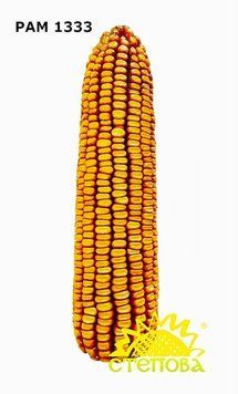 РАМ 1333