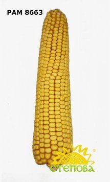 РАМ 8663