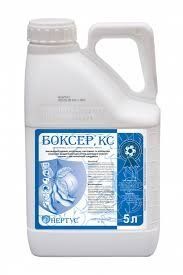 Боксер, КС