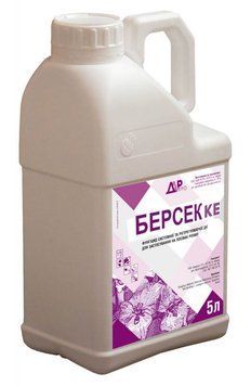 Берсек (5л)
