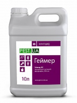 Геймер, КС