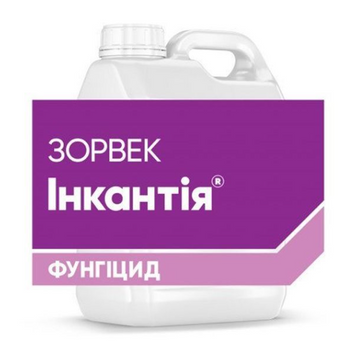 Зорвек Інкантія, СЕ [1л]
