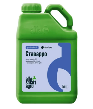 Ставарро, СЕ