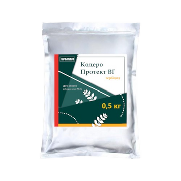 Кодеро Протект ВГ