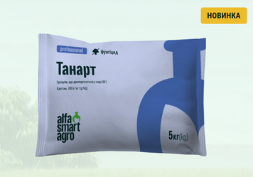 Танарт, ВГ
