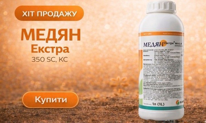 квантум головна