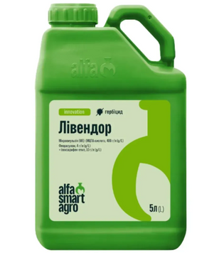 Лівендор, МЕ