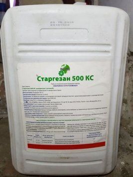 Старгезан 500, КС [10л]