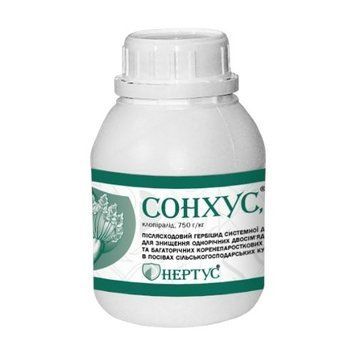 Сонхус, ВГ
