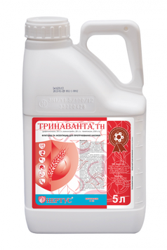 Тринаванта, ТН