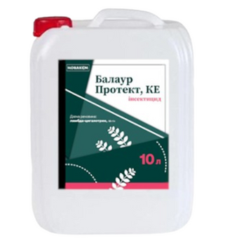 Балаур Протект КЕ
