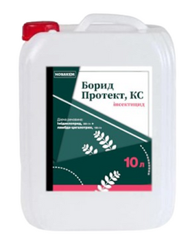 Борид Протект КС