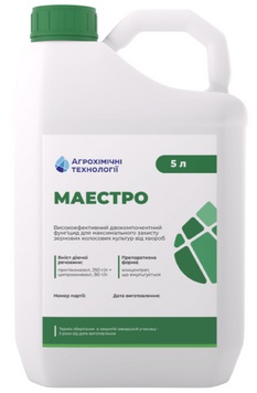 Маестро, КЕ [5л]
